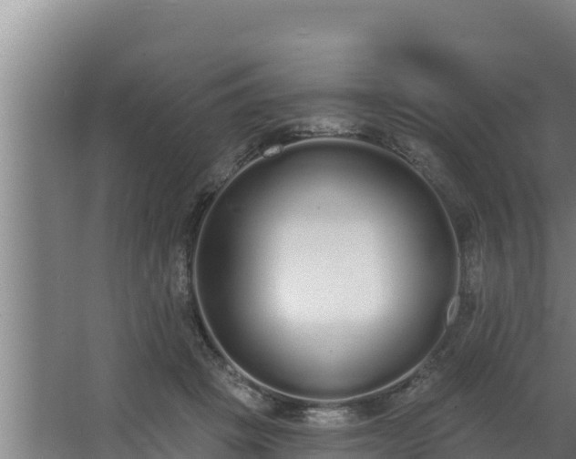 X0000064050457200602031628