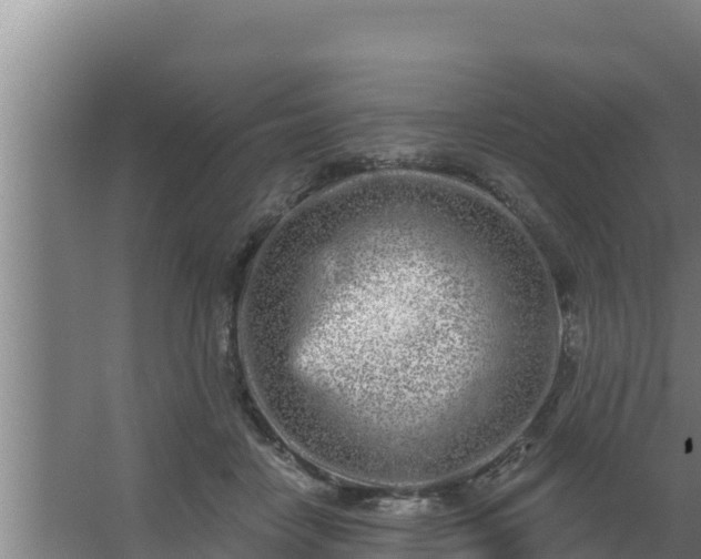 X0000064050458200602031628