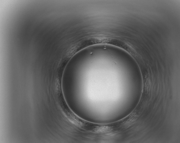 X0000064050459200602031628