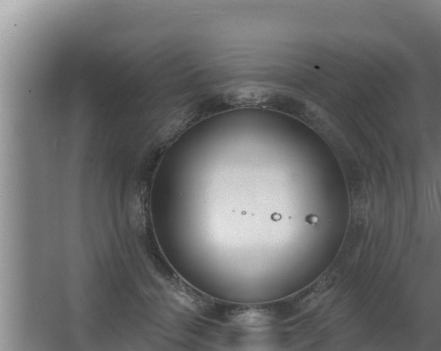 X0000064050460200602031628