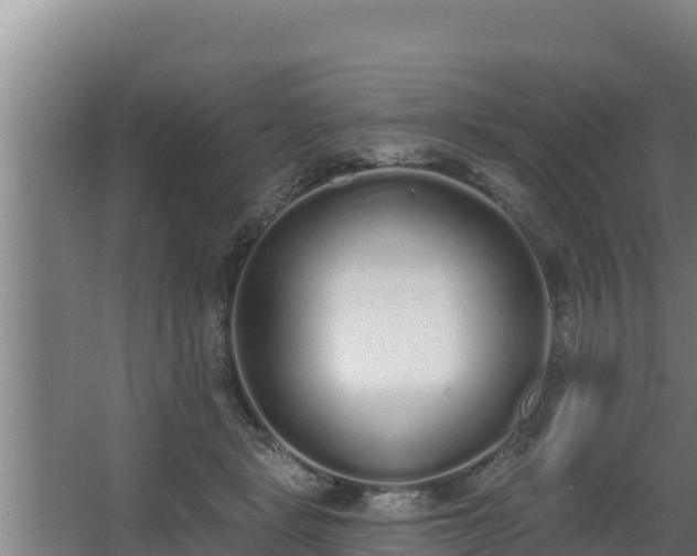 X0000064050461200602031628