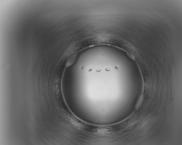 X0000064050462200602031628