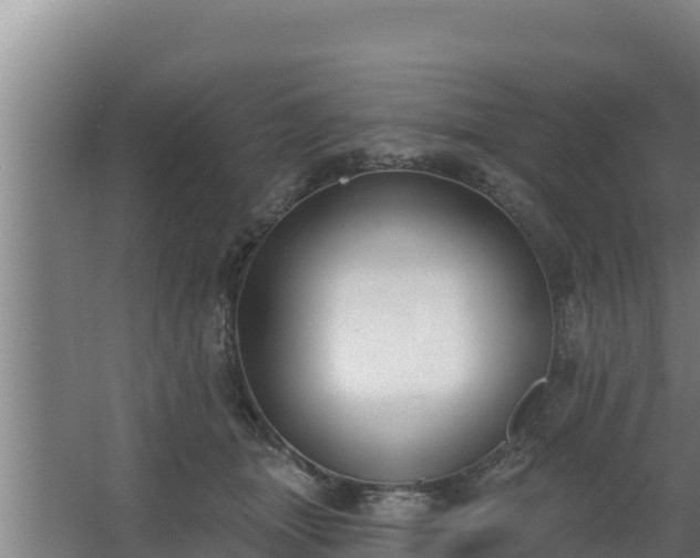 X0000064050463200602031628