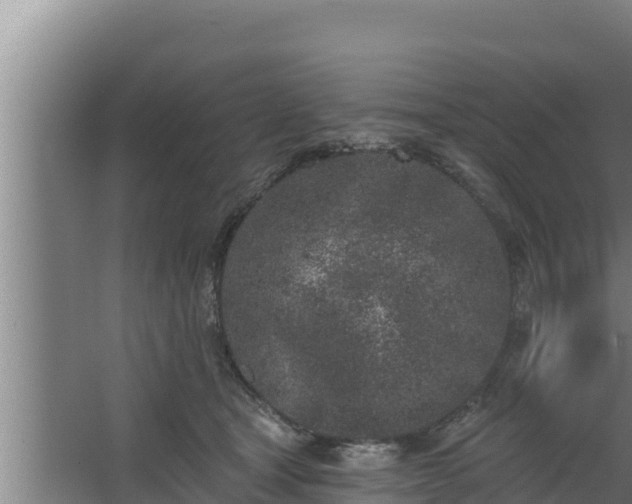 X0000064050465200602031628