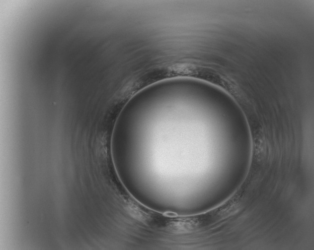 X0000064050466200602031628