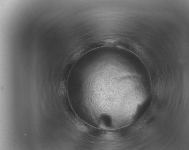 X0000064050467200602031628