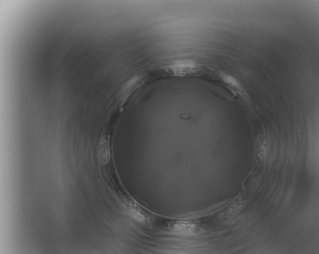 X0000064050471200602031628