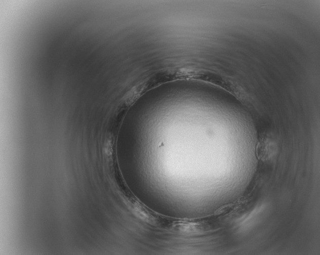 X0000064050472200602031628