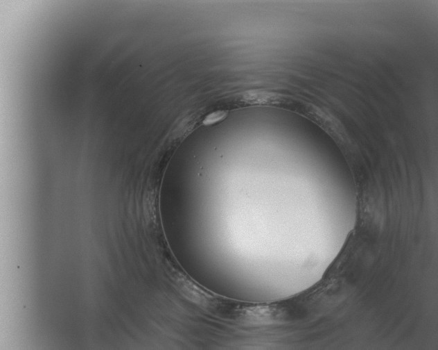 X0000064050473200602031628