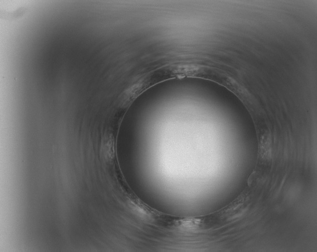 X0000064050474200602031628