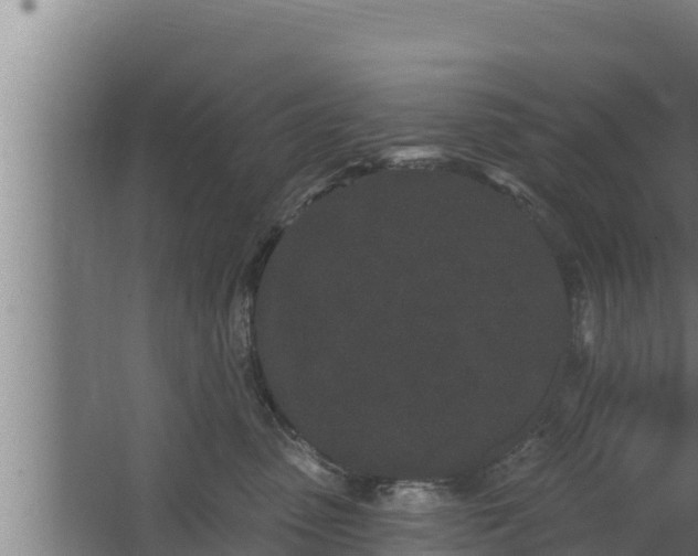 X0000064050475200602031628