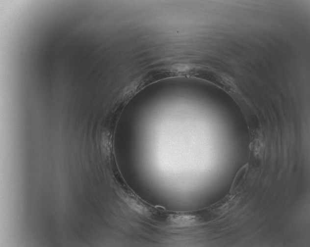 X0000064050476200602031628