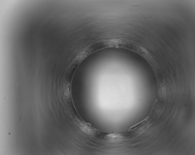 X0000064050477200602031628