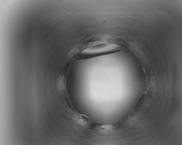 X0000064050478200602031628