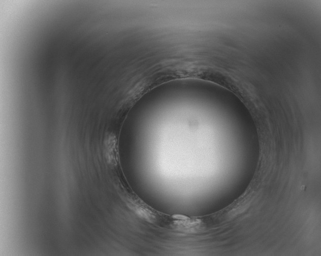 X0000064050480200602031628