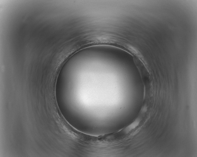 X0000064050481200602031627