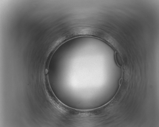 X0000064050482200602031627