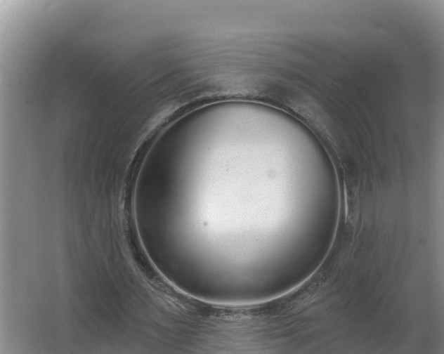 X0000064050483200602031627