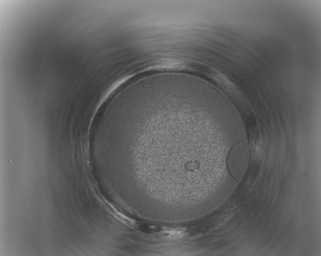 X0000064050484200602031627