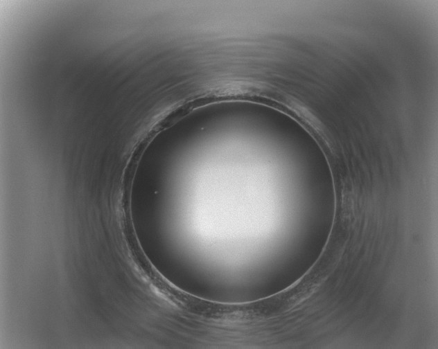 X0000064050485200602031627