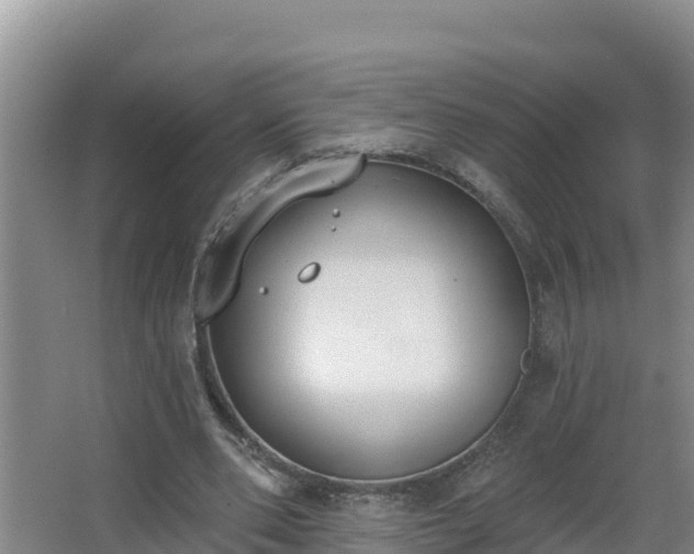 X0000064050486200602031627