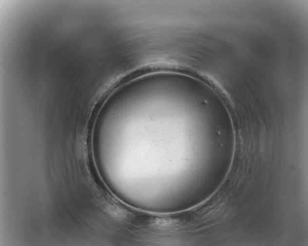 X0000064050487200602031627