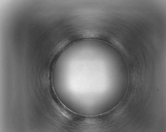 X0000064050490200602031627