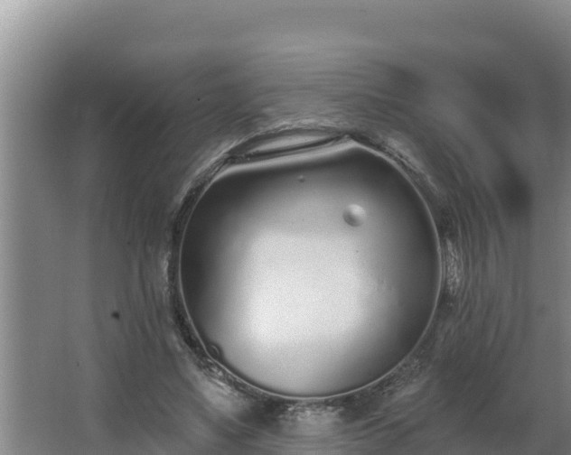 X0000064050491200602031627