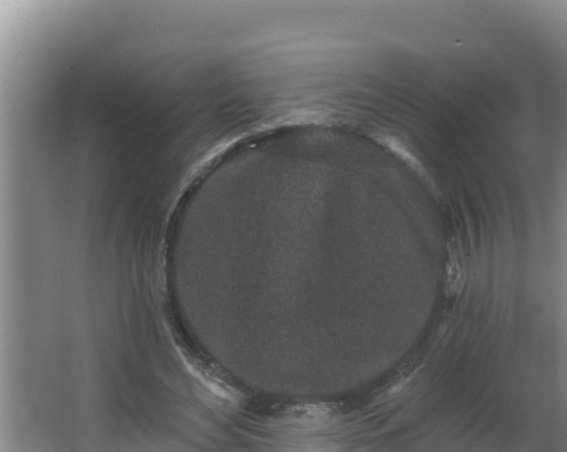 X0000064050492200602031627