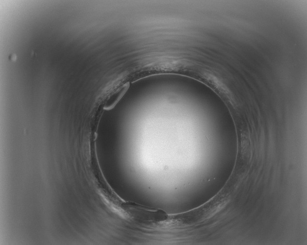 X0000064050493200602031627