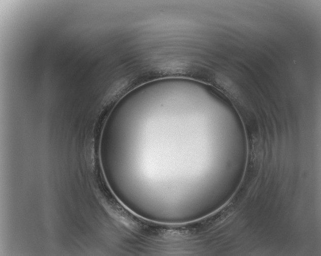 X0000064050494200602031627