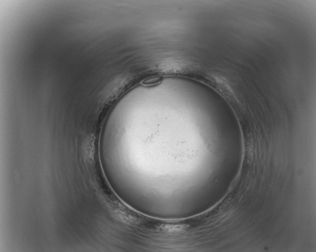 X0000064050495200602031627