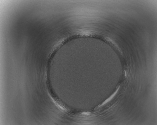 X0000064050496200602031627