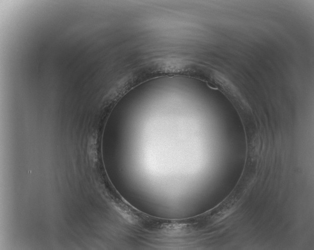 X0000064050497200602031627