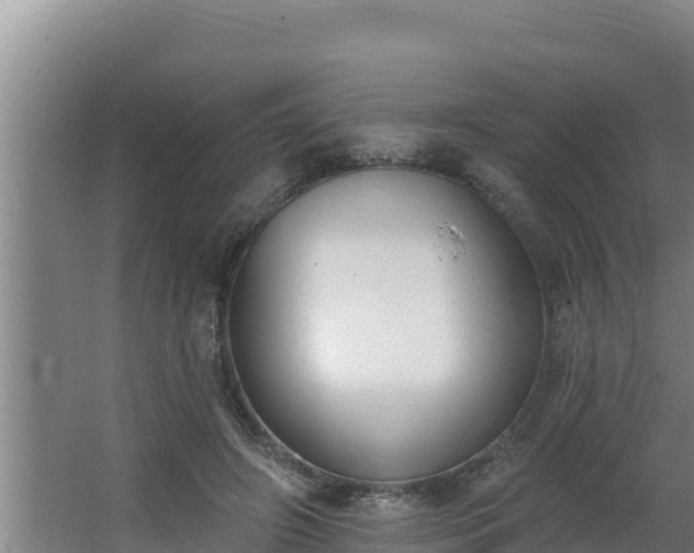 X0000064050498200602031627