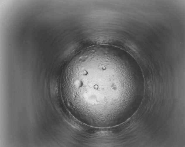 X0000064050499200602031627