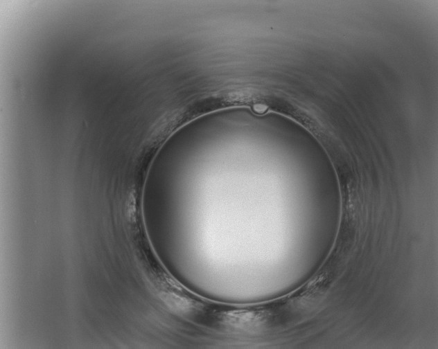 X0000064050502200602031627