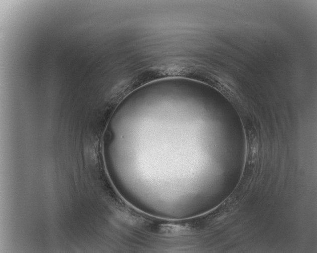 X0000064050503200602031627