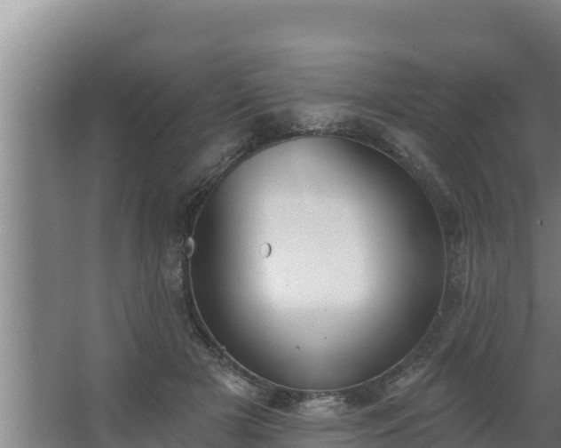 X0000064050505200602031627