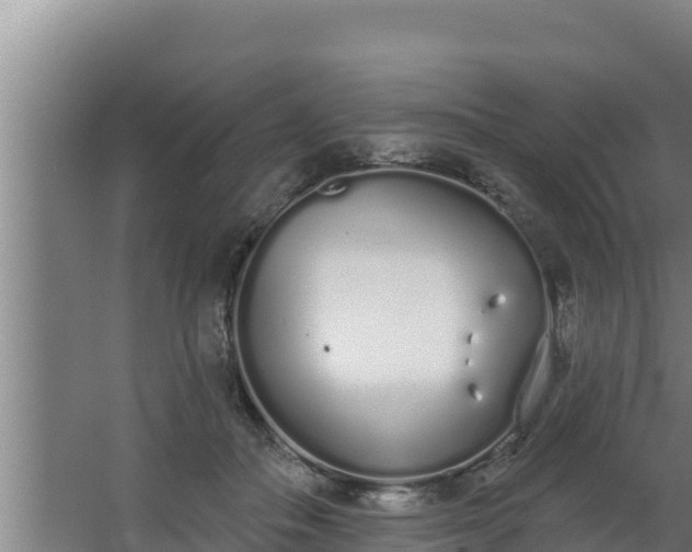 X0000064050506200602031627