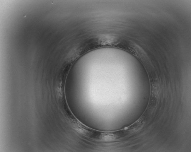 X0000064050510200602031627