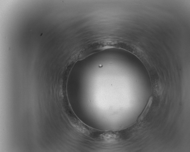 X0000064050512200602031627