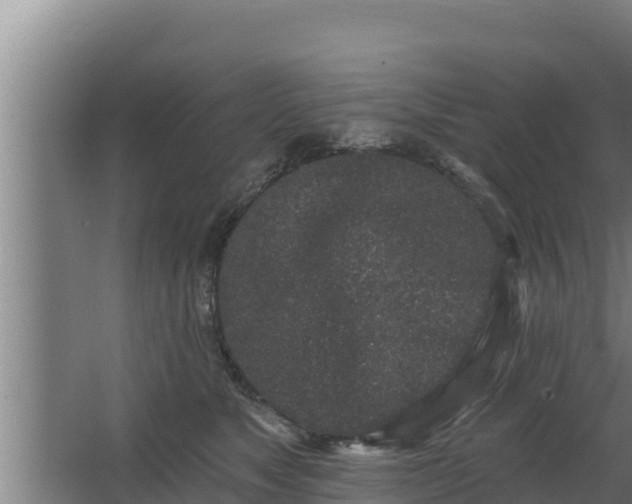 X0000064050517200602031627