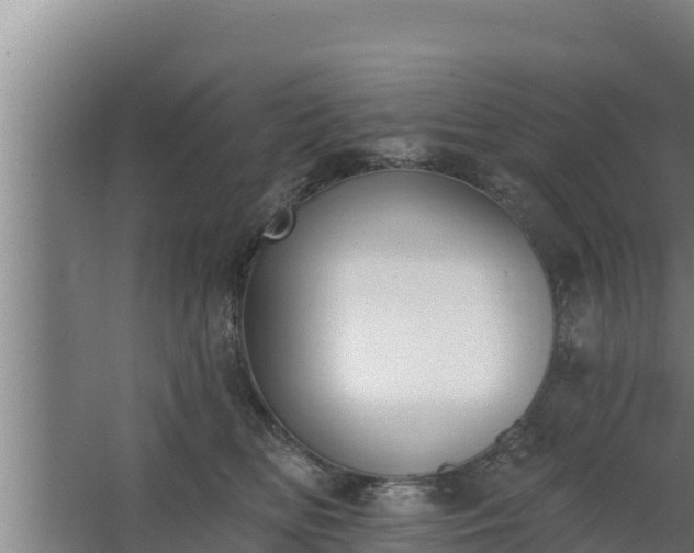 X0000064050518200602031627