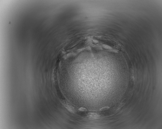 X0000064050519200602031627