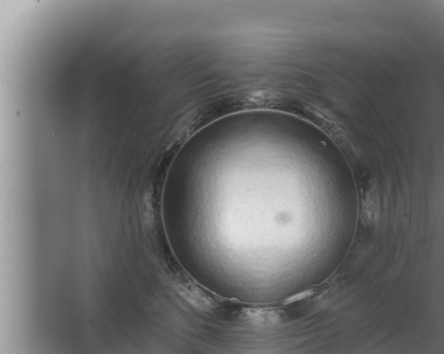 X0000064050520200602031627