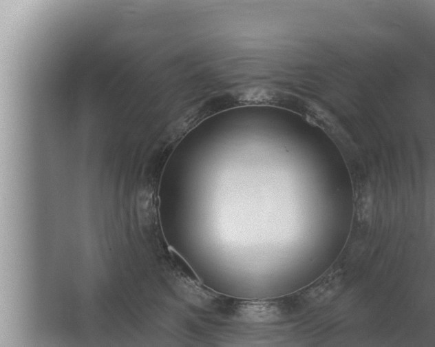 X0000064050521200602031627