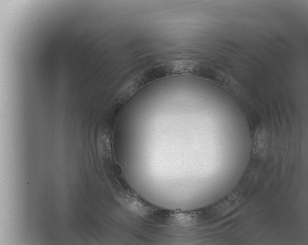 X0000064050522200602031627