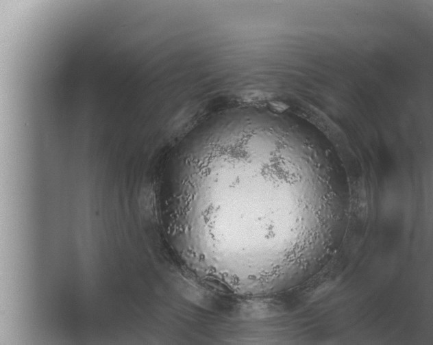 X0000064050523200602031627