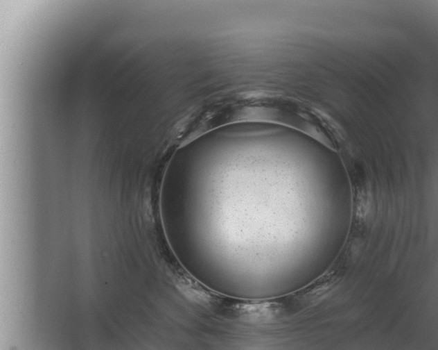 X0000064050524200602031626